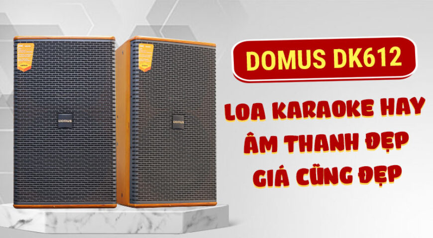 Domus DK 612: Loa hát karaoke chất, âm thanh đỉnh, giá mềm