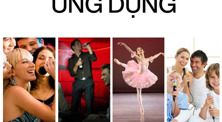 Tìm hiểu các loại loa kéo của Sansui