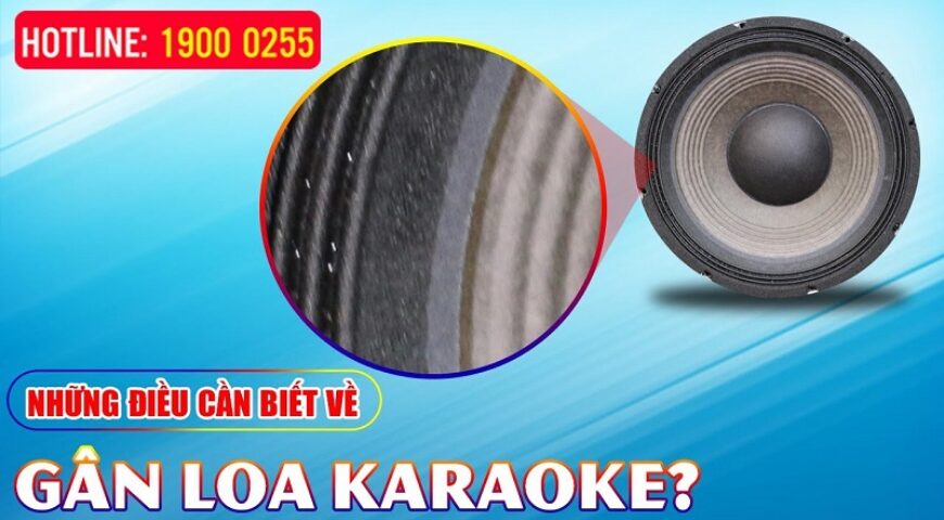Những điều cần biết về Gân Loa, có nên thay gân loa? Thay gân loa có ảnh hưởng chất âm không?