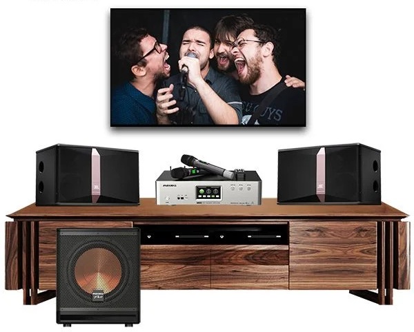 cach-phoi-ghep-loa-va-amply-chuan-bao-chau-elec-1